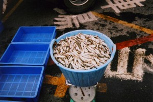 about_img001