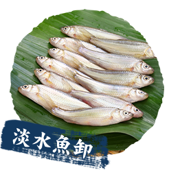 淡水魚卸