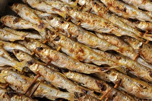 product_img009